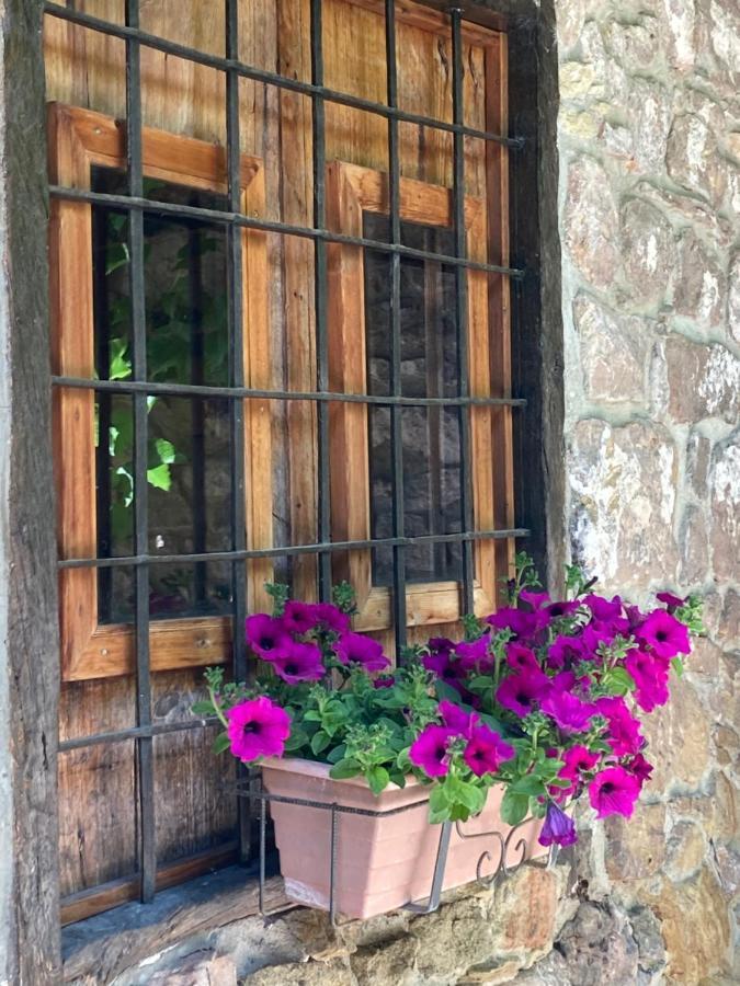 La Casa Del Bosque Villa Cabra de Mora Bagian luar foto